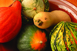 Winter Squash